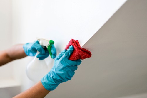 Tips for Maintaining Painted Walls